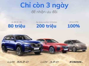 Giá xe VinFast tại Nam Định Mới Nhất năm 2021
